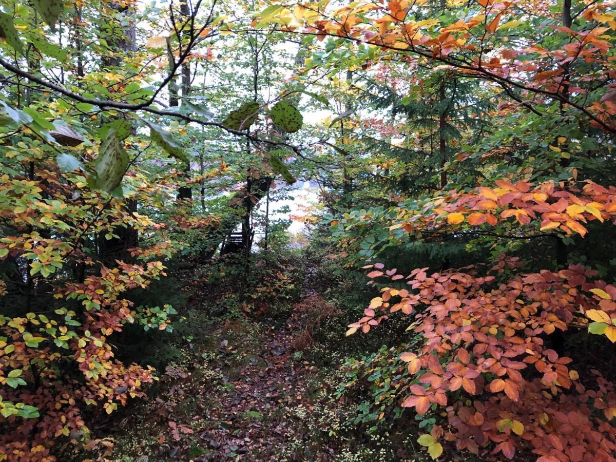Naturskoent Boende Vid Sjoe Skånes Fagerhult Dış mekan fotoğraf